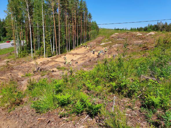 Metsä, kaivauksia, työmiehiä.