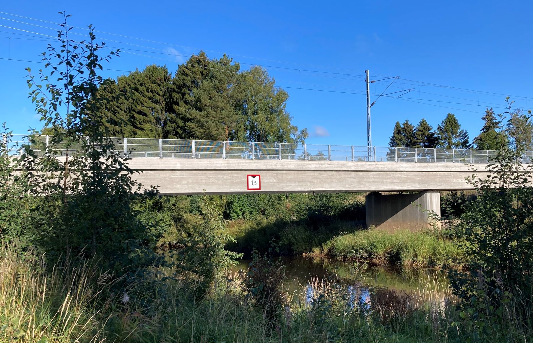 Temmesjoen silta sivusta, pensaikkoa