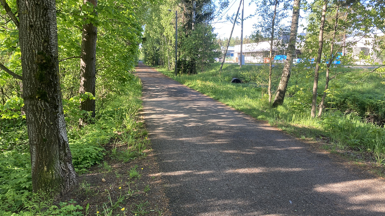 Väyläosuus lehtevien puiden keskellä.