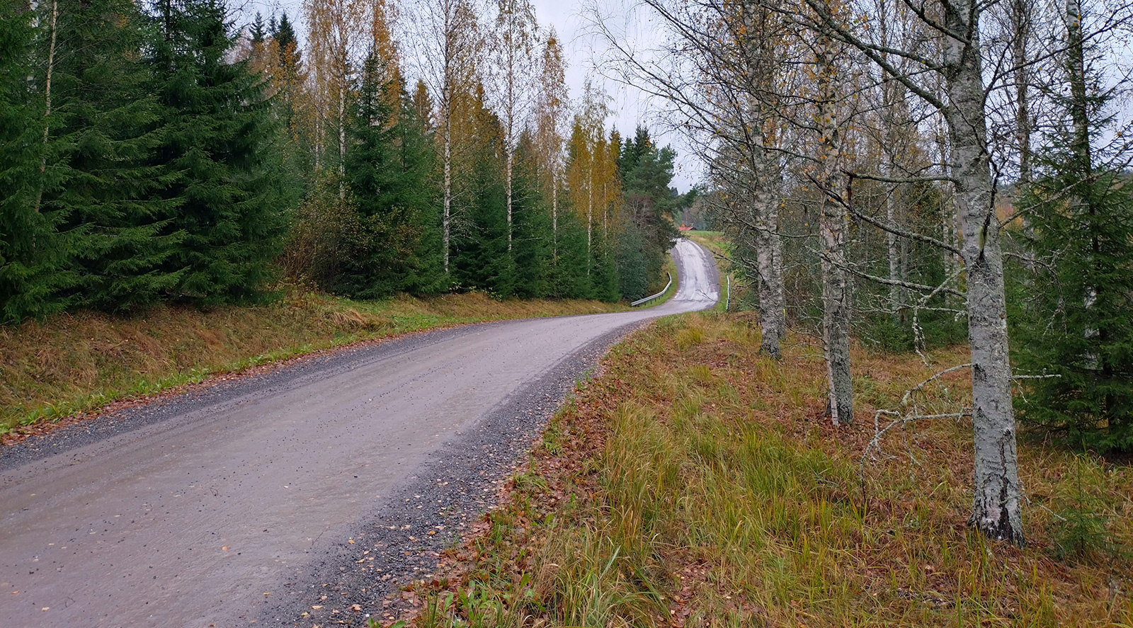 Maantie syksyisen maaston keskellä.