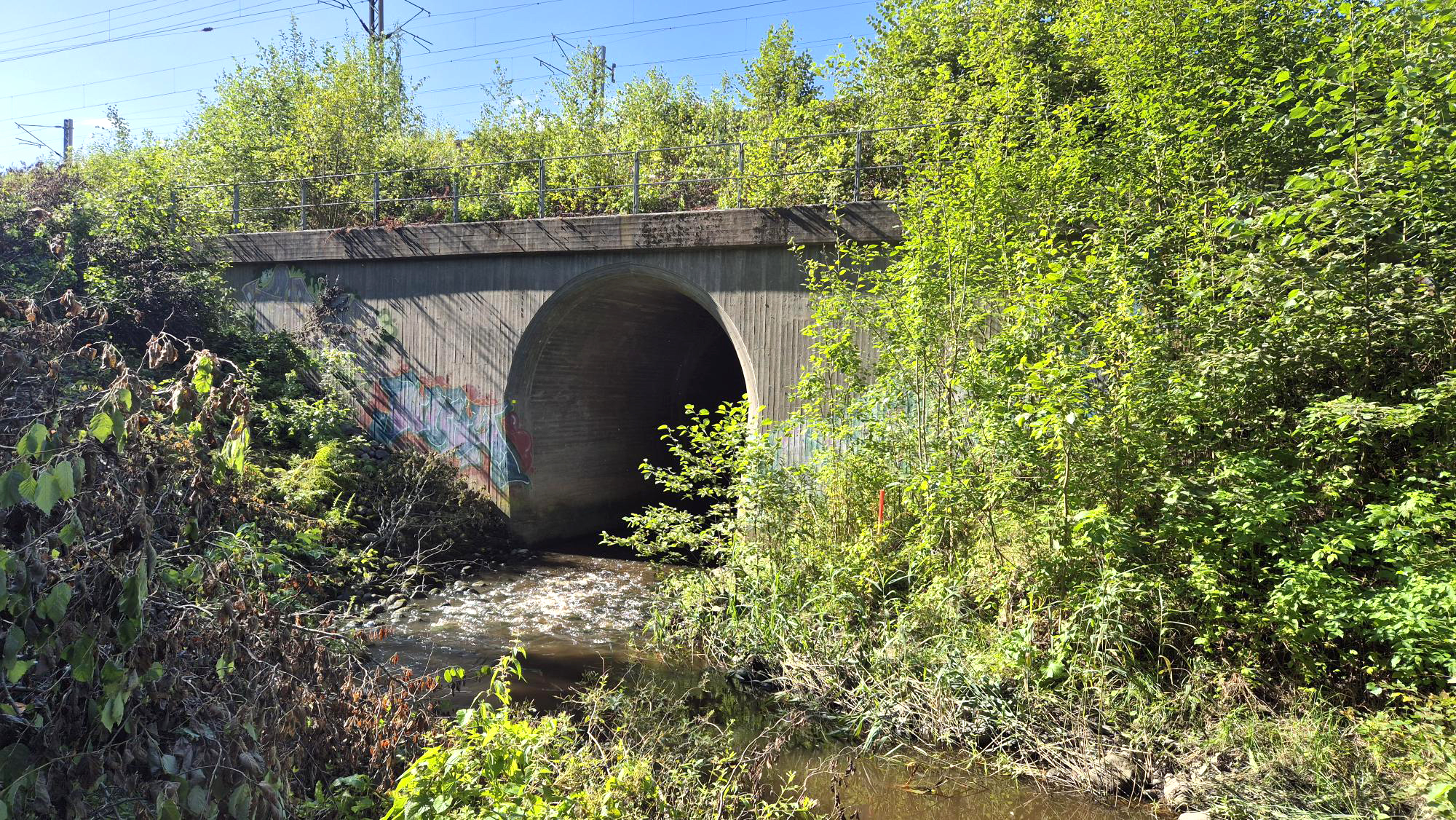 Palojoen uoma kulkee suuren betonisen rautatiesillan ali, seinässä on graffiteja. Ympärillä rehevää vihreää kasvillisuutta.