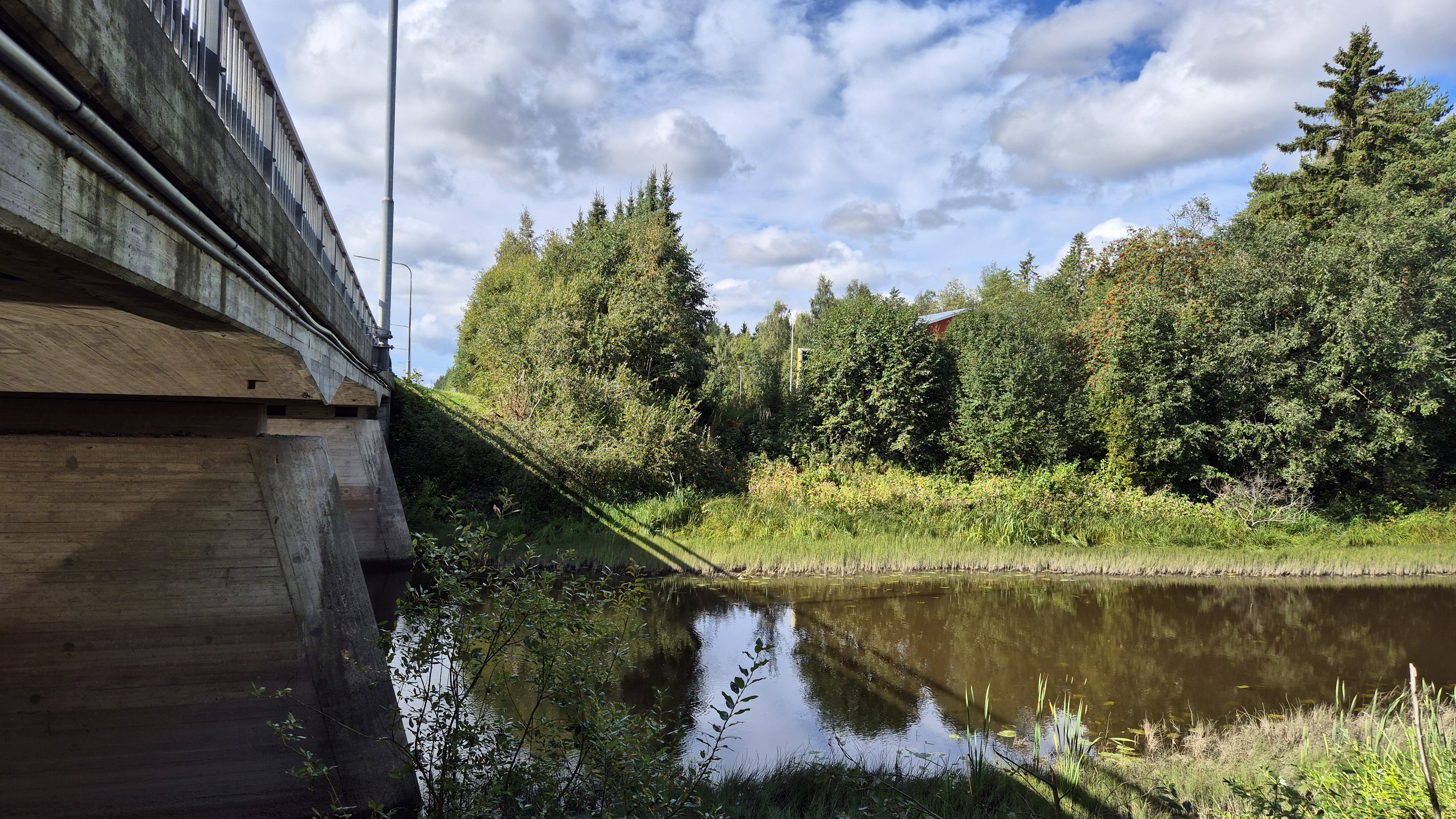 Pikkuhaaran silta vaakatasosta kuvattuna kesäisessä maisemassa. Silta vasemmalla ja taustalla puustoa. 