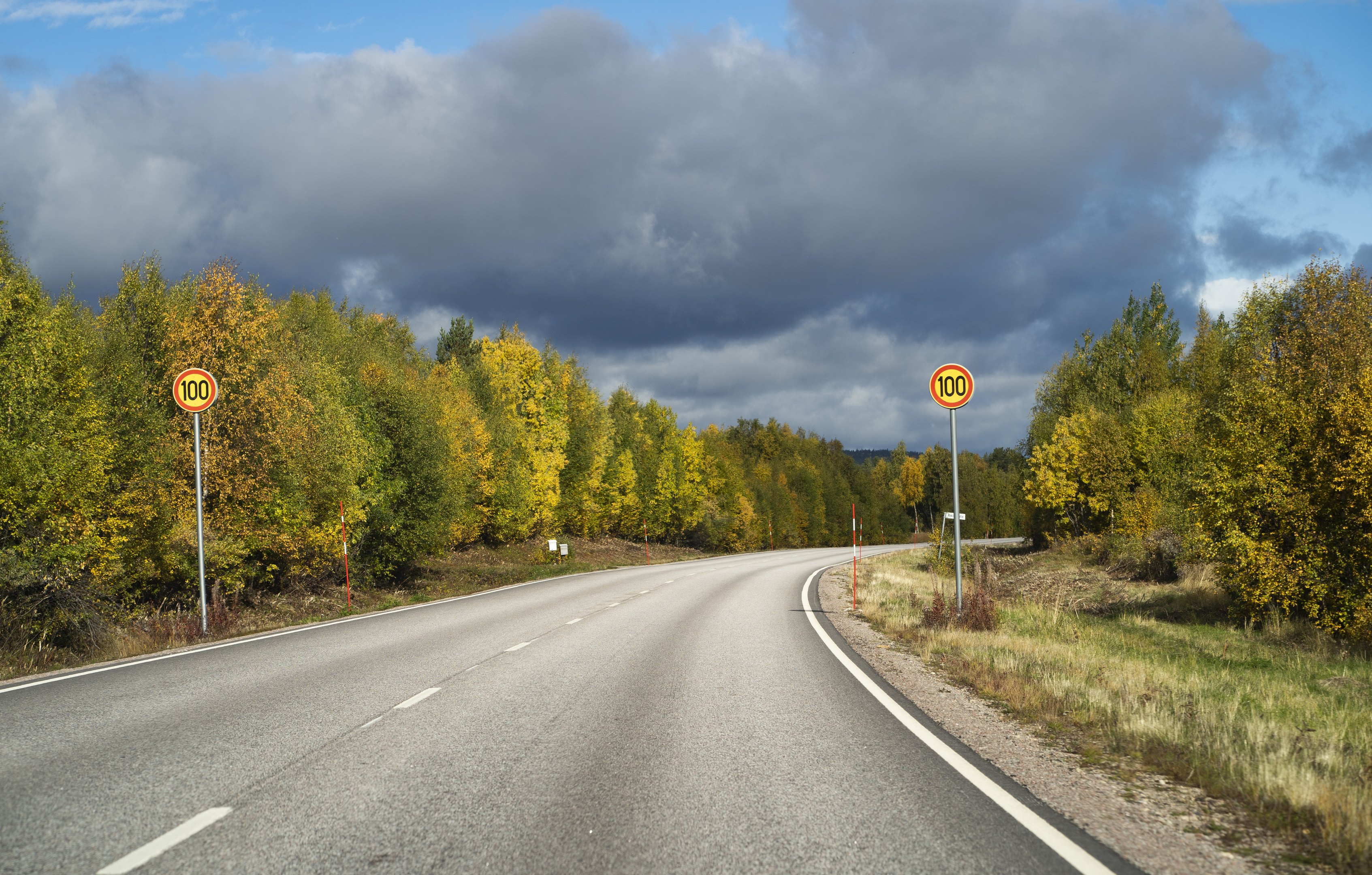 Tie, jolla on nopeusrajoitus 100 km/h. Tien molemmilla puolilla on metsää ja taivaalla on tummia pilviä.