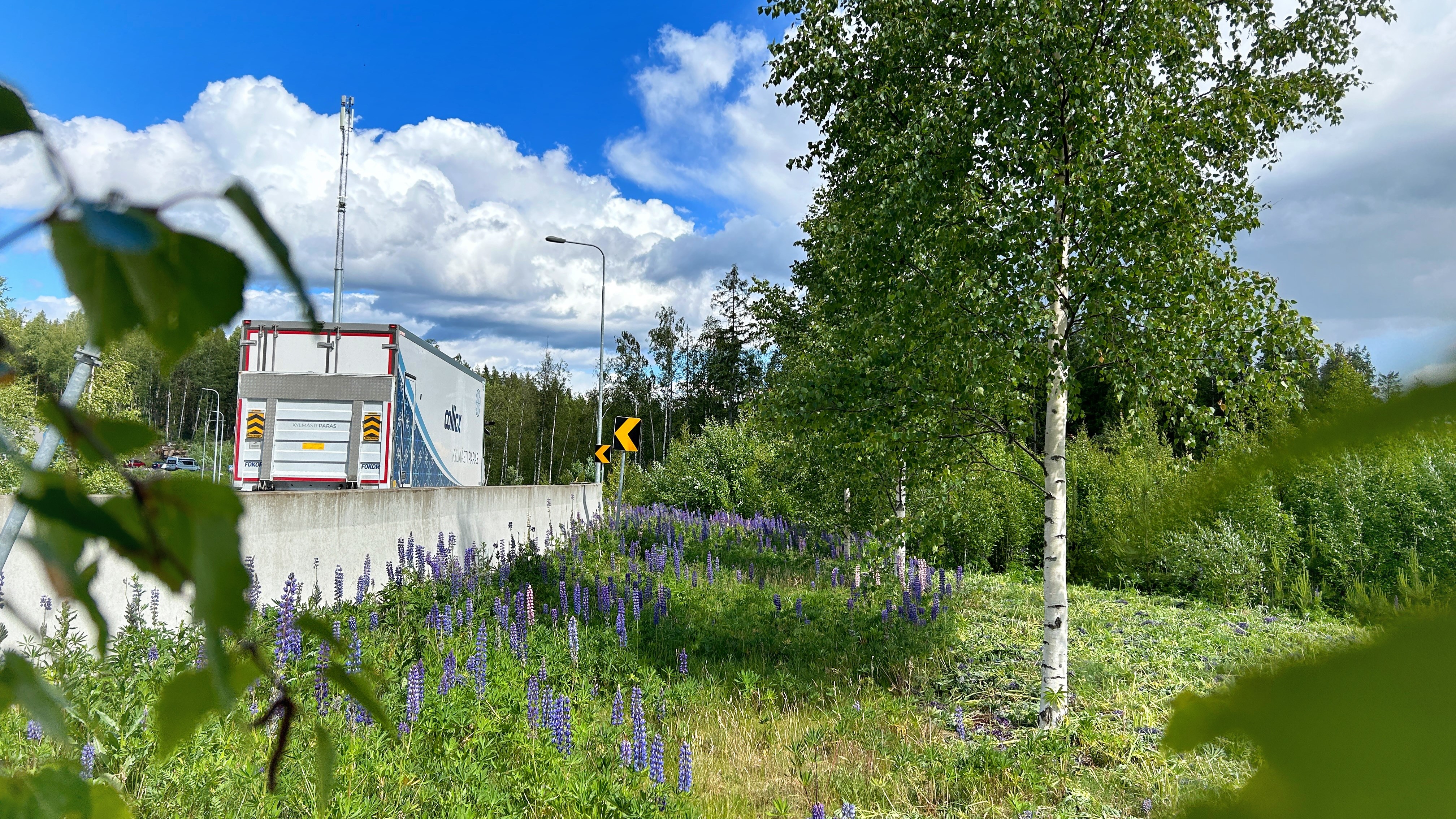 Kuva Lintuhytistä tien reunasta, kohdasta josta uusi jkpp-väylä tulisi kulkemaan.