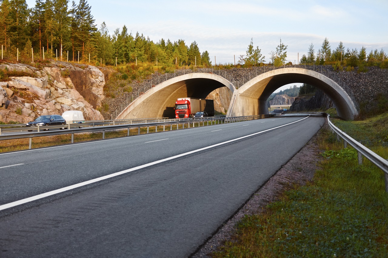 Kaksikaistainen moottoritie, jossa näkyy tunnelin päällä viherkäytävä.