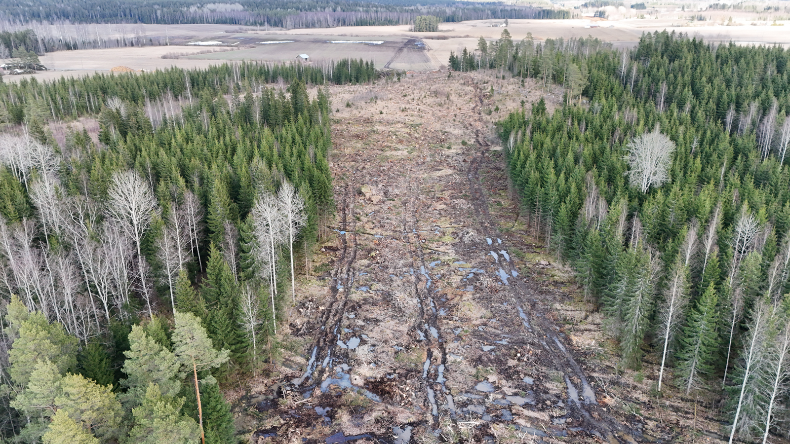 Luhtalammen risteyssillan paikka maastossa. 