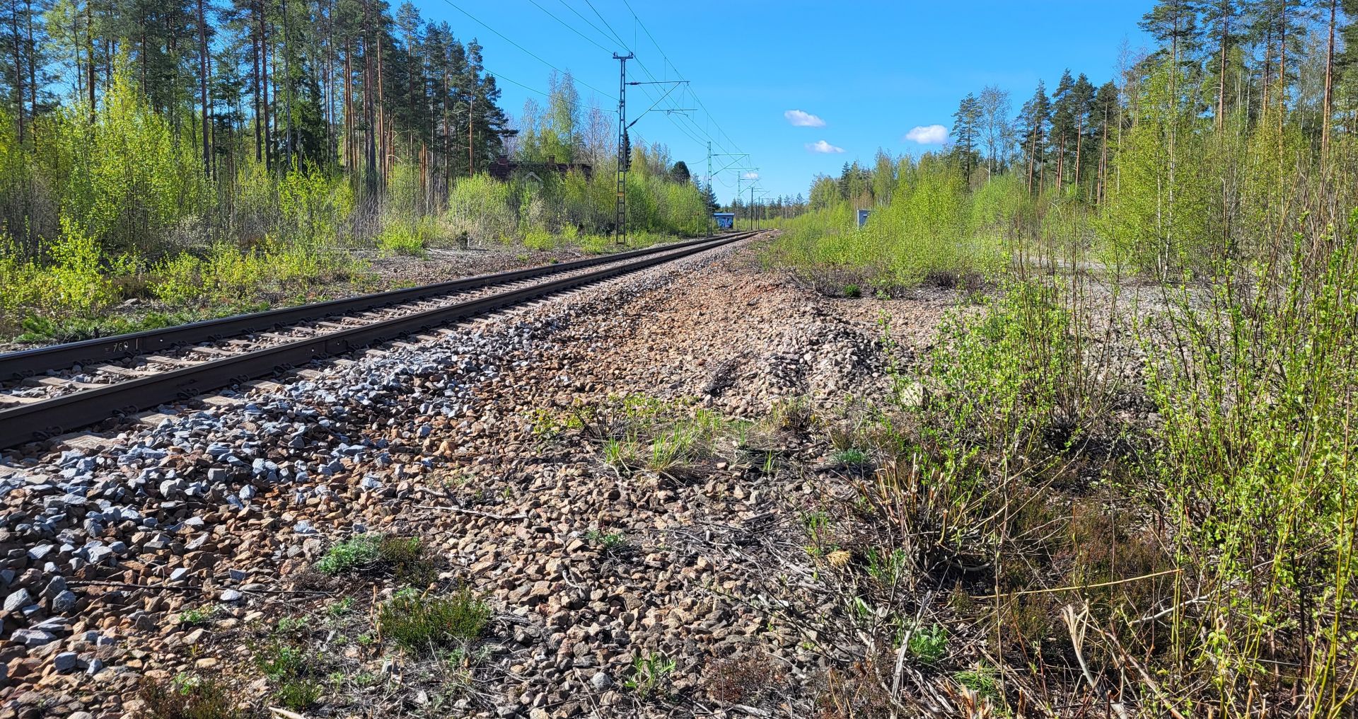 Kuva Kouvolan ja Kuopion väliseltä rataosuudelta kesällä 2025