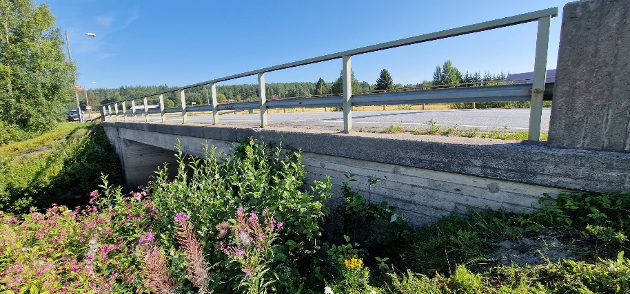Kuvassa Harjunpään silta kesällä.
