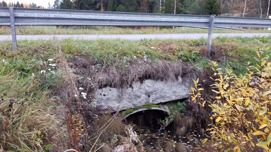 Kuvassa Kolhin silta.