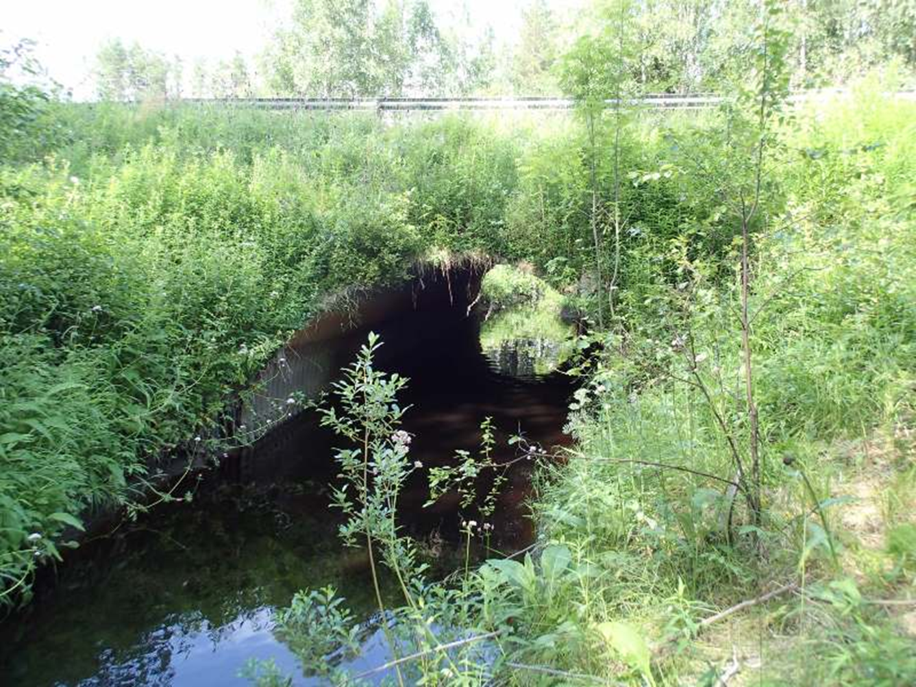 Kuvassa Nikolan silta.