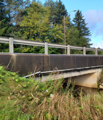 Kuvassa Tattarjoen silta.