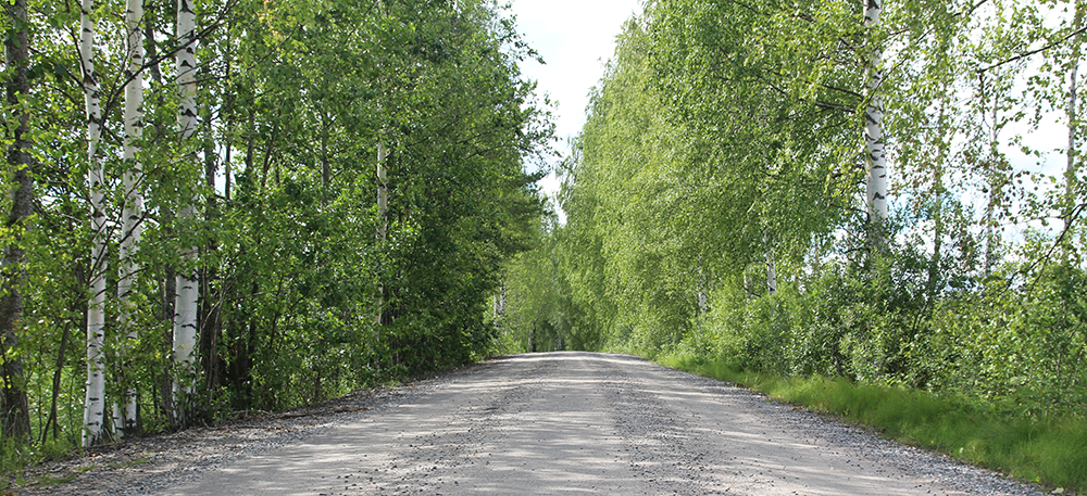 Kuvassa metsäinen hiekkatie