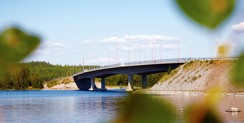 Vesistösilta kesäisessä ympäristössä
