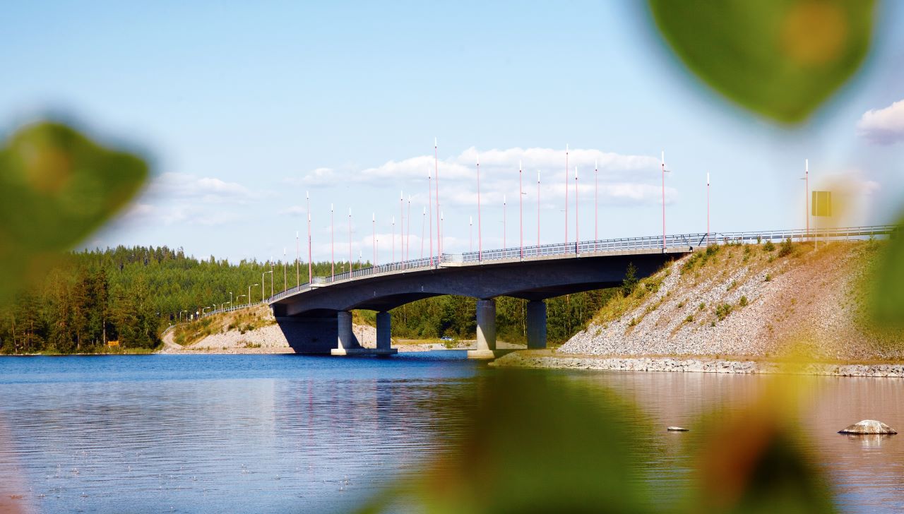 Vesistösilta kesäisessä ympäristössä