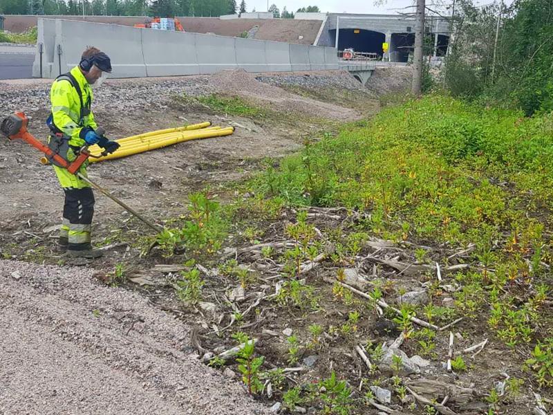 Suojavarusteisiin pukeutunut mies leikkaa siimurin kanssa matalaa jättipalsamikasvustoa. Taustalla näkyy Patomäen tunnelin suut ja tietä.  