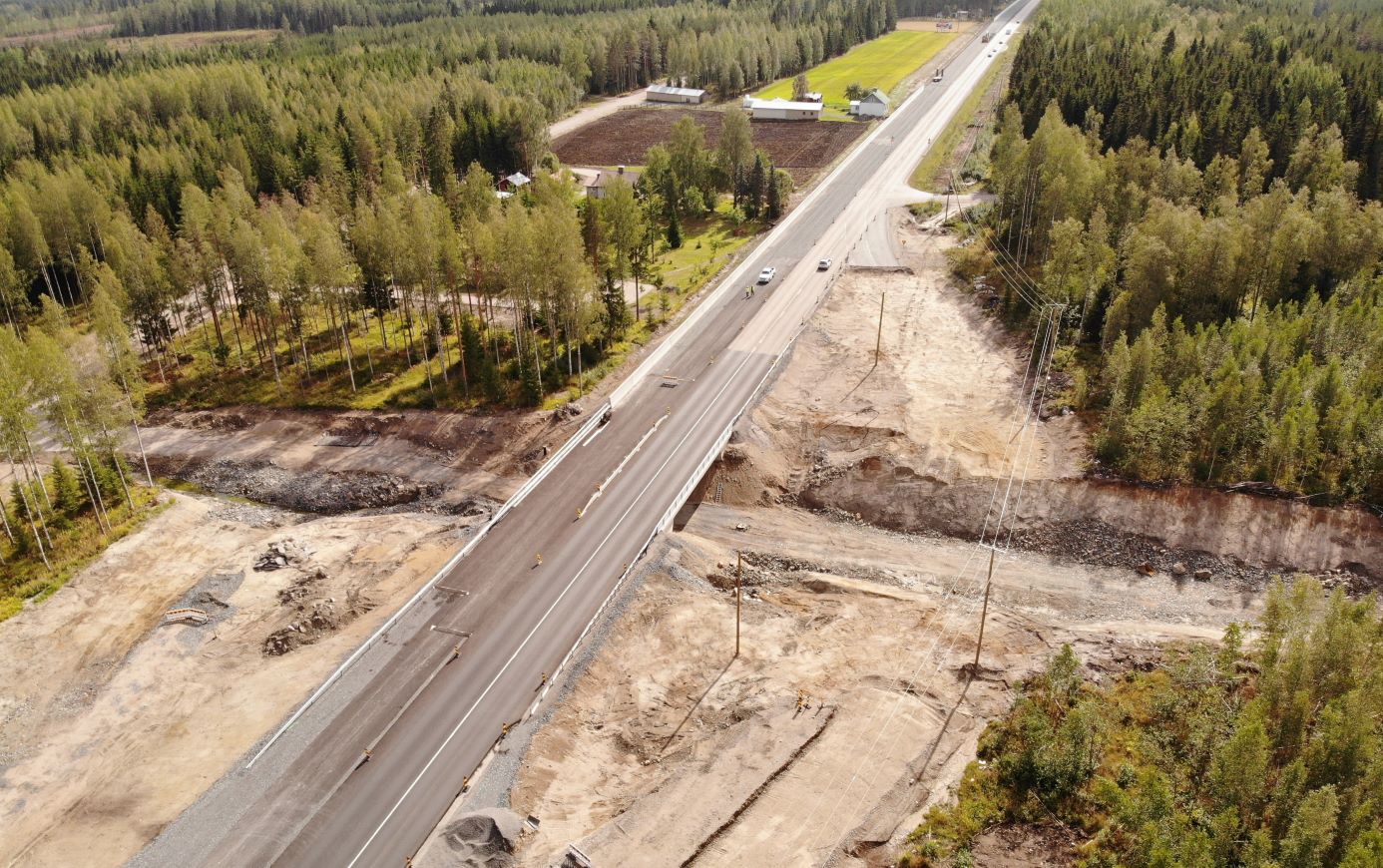 Hankkeen ympäristöä, puustoa.