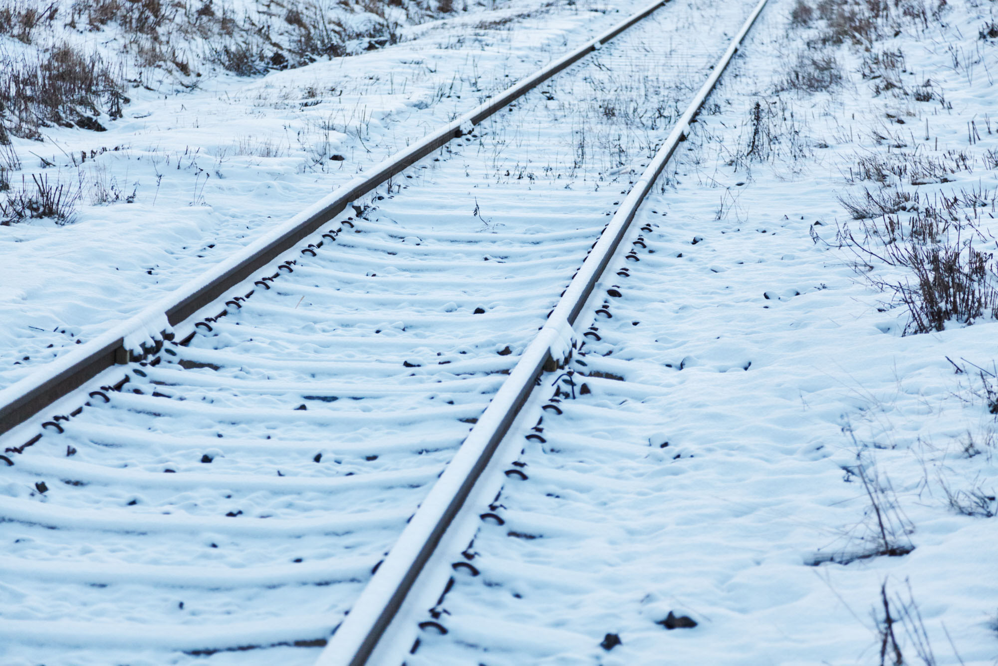 snöig spårar