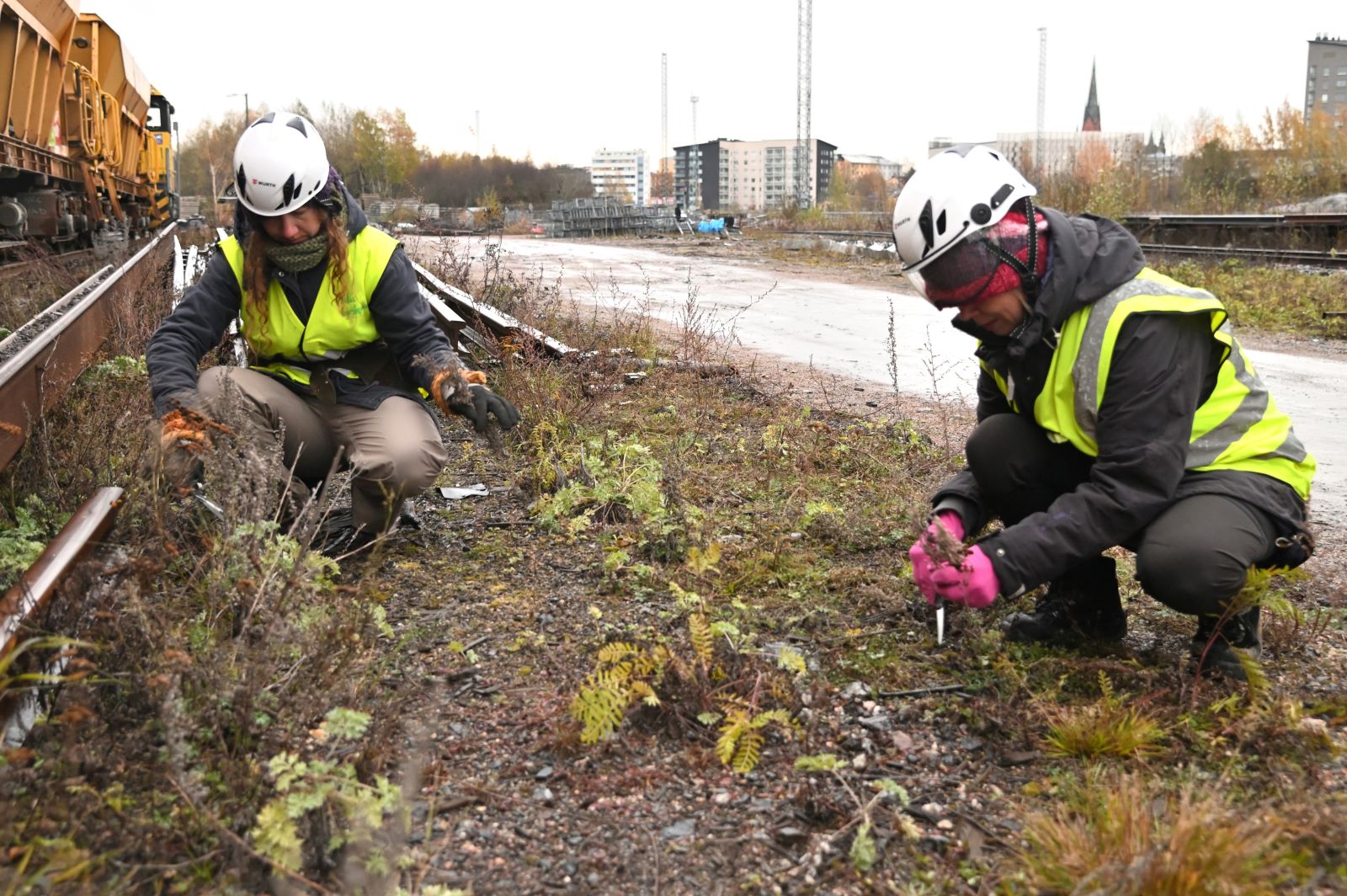 Kaksi työntekijää, jotka puhdistavat rikkaruohoja rautatieraiteilta. Heillä on päällään turvavarusteet, kuten kypärät ja heijastinliivit.